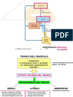 6 - Controllo Motorio