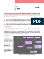 GI05.Malformaciones Congénitas Del ARF