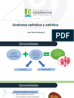 Síndrome Nefrítico y Nefrótico PDF