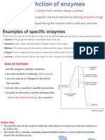 Chapter 16 Enzymes