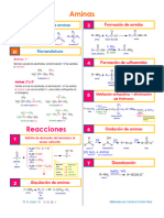 Formulario de Aminas