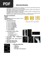 Traumato Completo Transcripciones