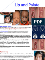 Cleft Lip and Palate Fifth 2023