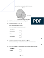 RP1 Microscopy Calculations Qs