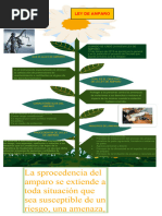 Infografia de La Ley de Amparo