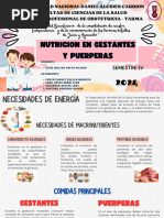 Nutricion en Gestantes