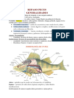 Taxonomia Peces