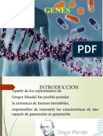 Genes Estructura y Función