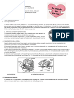 Tareas Virtuales 6º