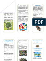 PDF Triptico de La Biodiversidad - Compress