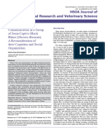 Communication in A Group of Semi Captive Black Rhino Diceros Bicornis A Reconsideration of Their Cognition and Social Organization