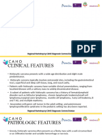 Histiocytic Sarcoma