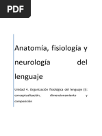 Anatomía Fisiología y Neurología Del Lenguaje - Unidad 4