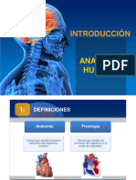 Tema 1 - Introduccion Anatomia X