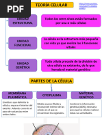 Teoría Celular: Com/Watch?V 4opbyl Wh9Du