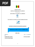 Rapport ML Ousseynou - Yatoute