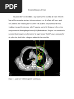 Treatment Planning Lab Paper