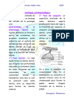 Apuntes de Patologia Estomatologica PDF