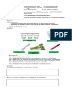 Práctica Experimental Circulación en Plantas