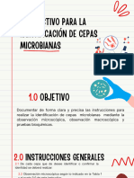 Instructivo para La Identificación de Cepas Microbianas