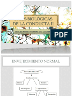 1 - Envejecimiento Normal, DCL y Demencia - Bases II