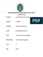 Universidad Nacional Pedro Ruiz Gallo1