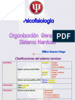 2 Org Sistema Nervioso - 240427 - 101434