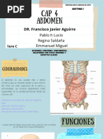 Cap 4 Abdomen (Anatomía)