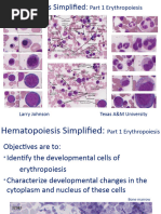 A Hematopoiesis Simplified