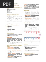 Urinary System