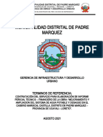 1.00 TDR - Peritaje Técnico