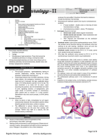 Dizziness and Vertigo Trans!