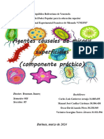 Informe Tema 3 Componente Practico