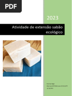 Atividade de Extensão Sabão Ecológico