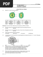 FT - Worksheet 2