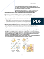 Introducción Al Sistema Nervioso