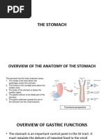 Gastrointestinal System - 2