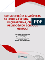 Consideracoes Anatomicas Medula Espinhal