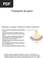 Transporte de Gases y Curva Ohb