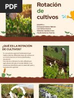 Rotación de Cultivos 1-10