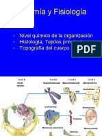 Anatomia y Fisiologia