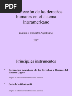 Sistema Interamericano DDHH Silvina Gonzalez Napolitano