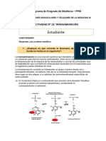 TRANSAMINACIÓN