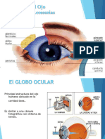 01 - Clase 1 - El Ojo y La Visión - Trabajo en Clases