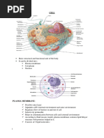 CELL