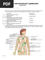 Lymphatic System 2