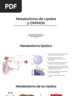 Clase 4-Lipidos Magister - 2021