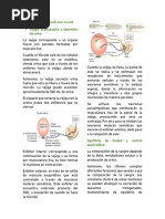 Fisiología de Sistemas Segundo Resumen