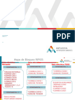 Mapa Bloqueo y Requerimientos Area Ripios Sem 13