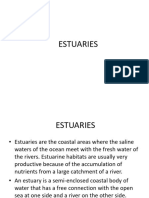 Estuaries